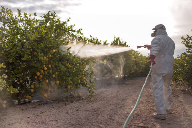 Best Cockroach Control Services  in Lewisville, TX