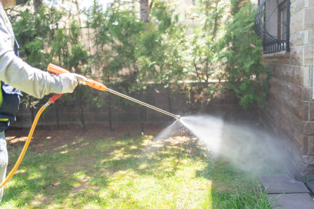 Best Affordable Pest Control Services  in Lewisville, TX