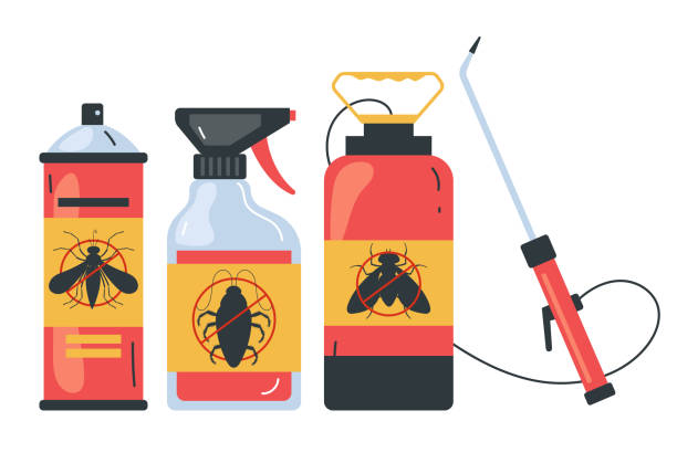 Best Bed Bug Extermination  in Lewisville, TX