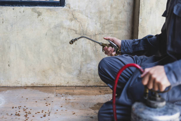 Reliable Lewisville, TX Pest Control Solutions